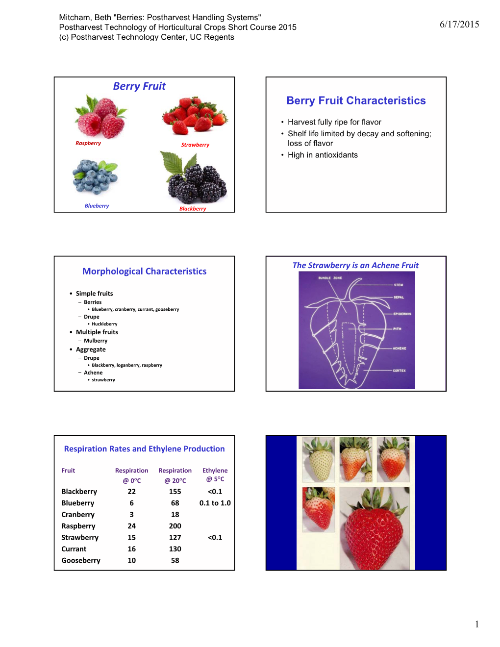 Berry Fruit Berry Fruit Characteristics