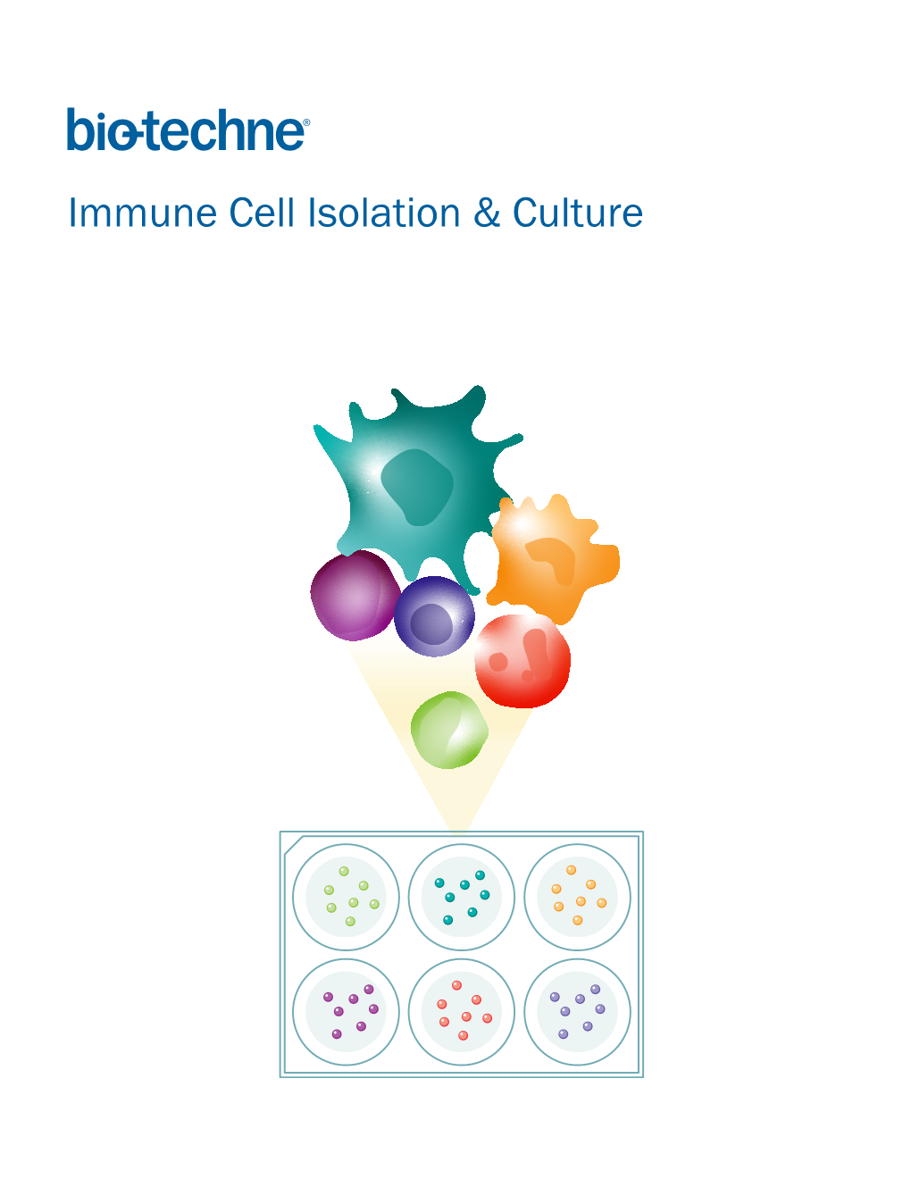 Immune Cell Isolation & Culture