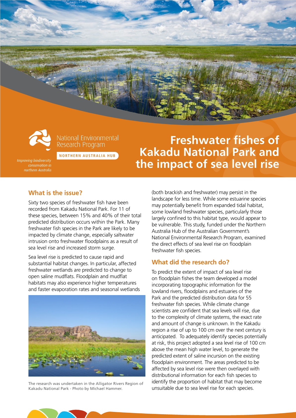 Freshwater Fishes of Kakadu National Park and the Impact of Sea Level Rise