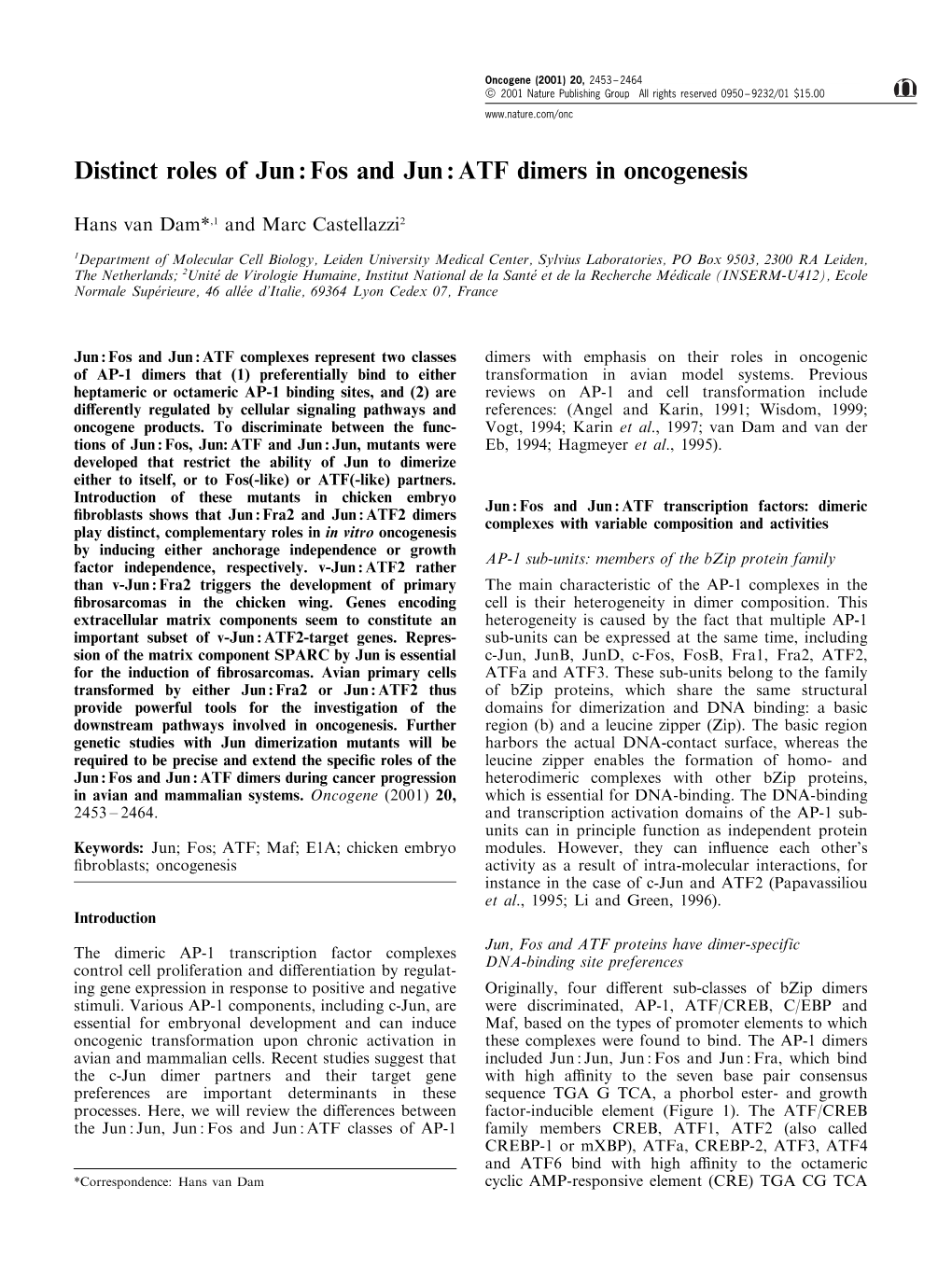 Distinct Roles of Jun : Fos and Jun : ATF Dimers in Oncogenesis