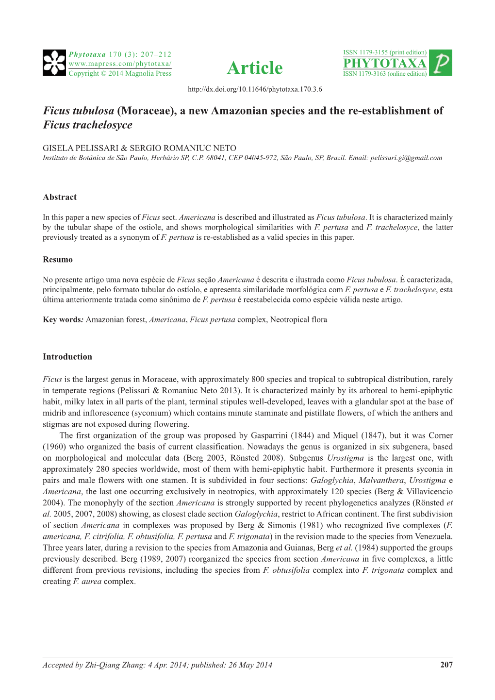 Ficus Tubulosa (Moraceae), a New Amazonian Species and the Re-Establishment of Ficus Trachelosyce