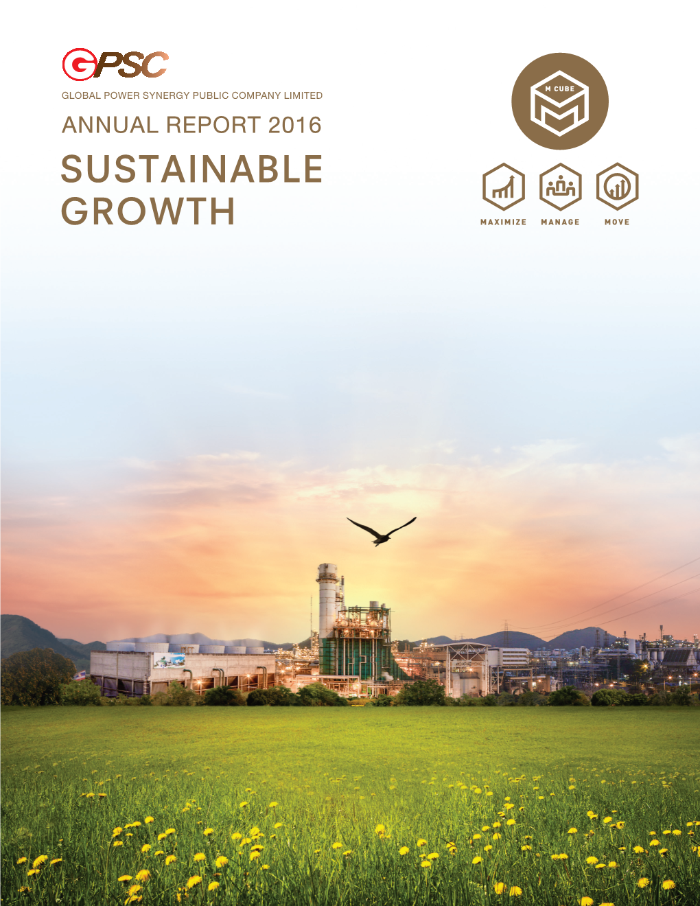 Sustainable Growth