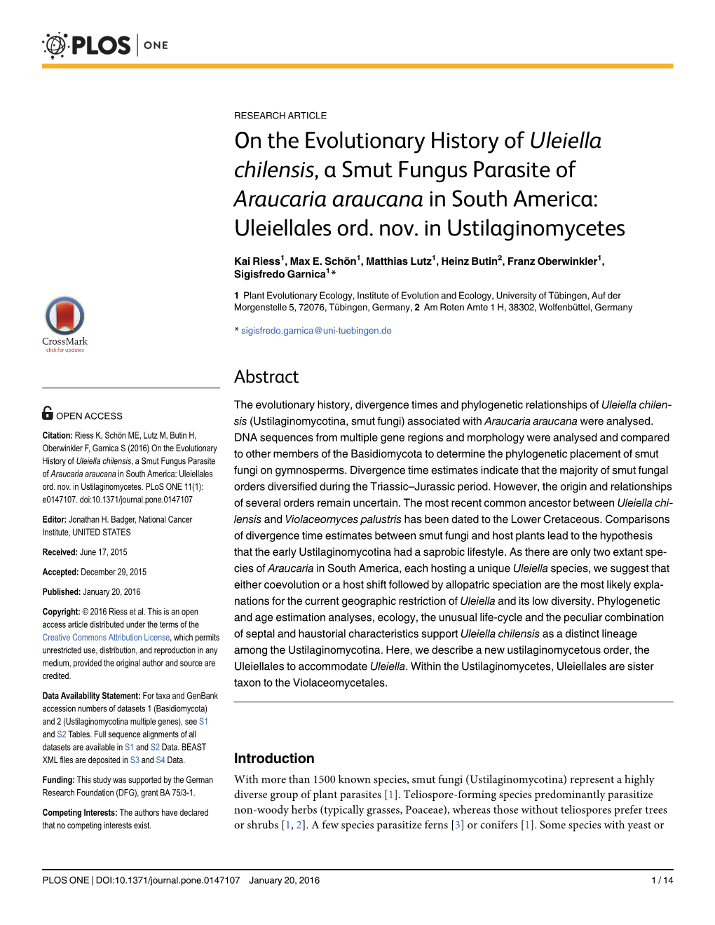 On the Evolutionary History of Uleiella Chilensis, a Smut Fungus Parasite of Araucaria Araucana in South America: Uleiellales Ord