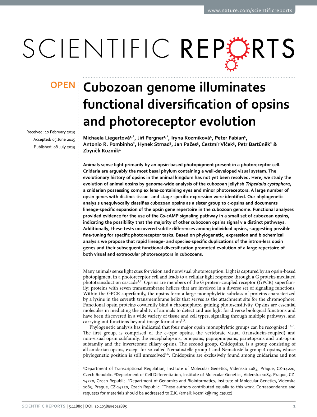 Cubozoan Genome Illuminates Functional Diversification Of