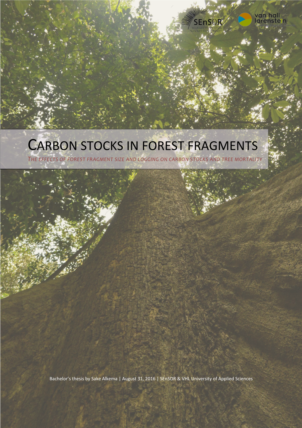Carbon Stocks in Forest Fragments the Effects of Forest Fragment Size and Logging on Carbon Stocks and Tree Mortality