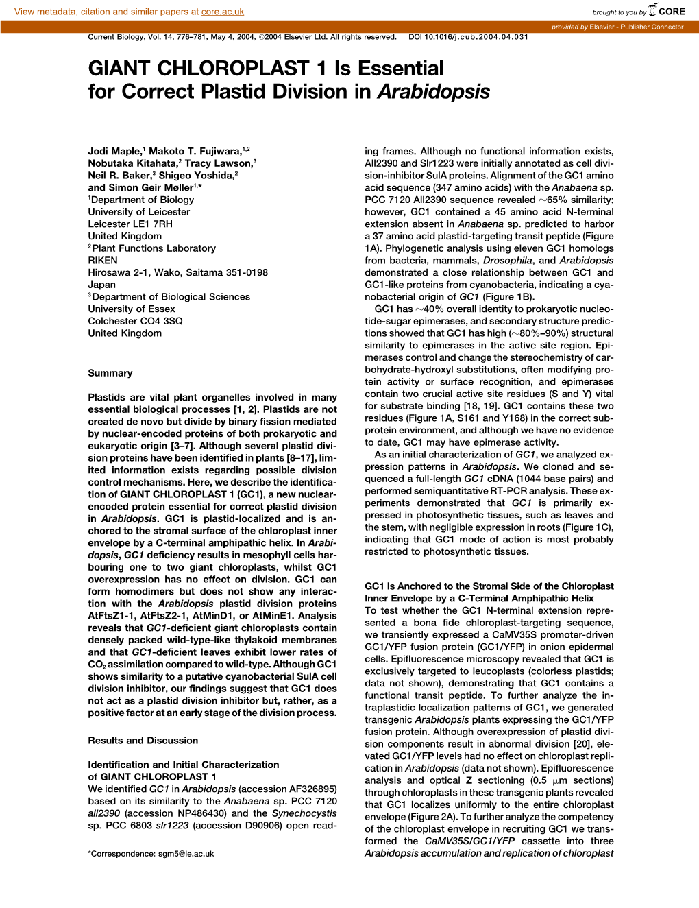 GIANT CHLOROPLAST 1 Is Essential for Correct Plastid Division in Arabidopsis