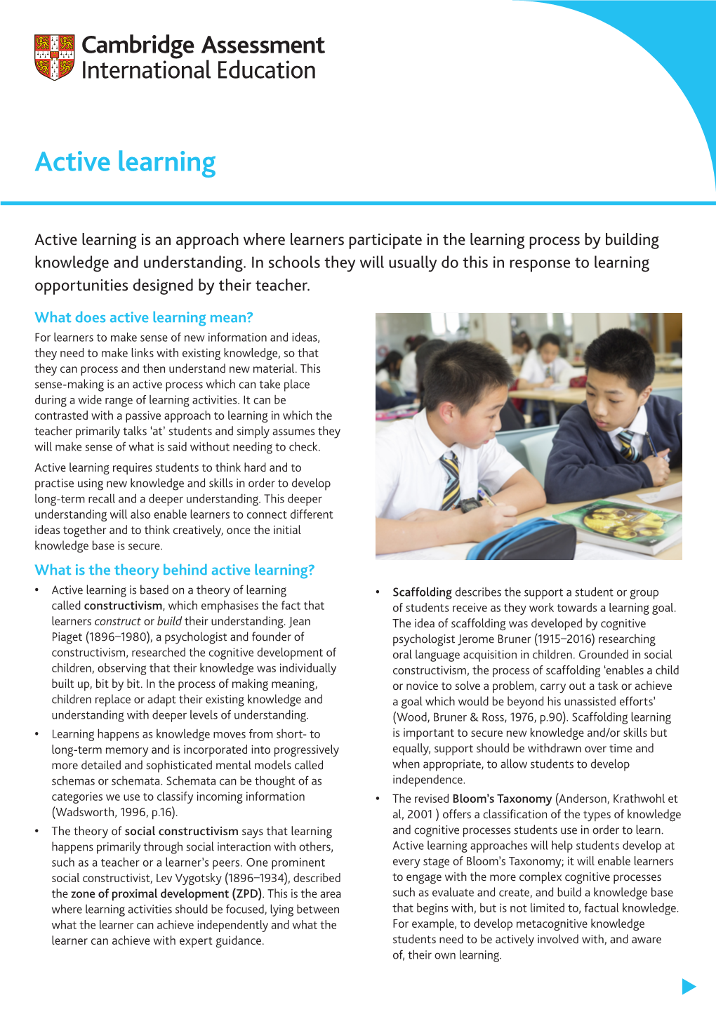 Active Learning