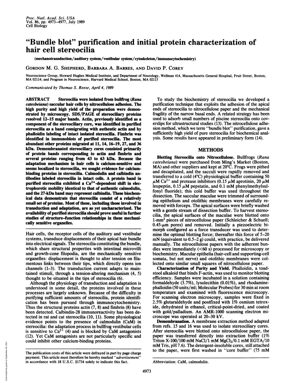 Purification and Initial Protein Characterization of Hair Cell Stereocilia