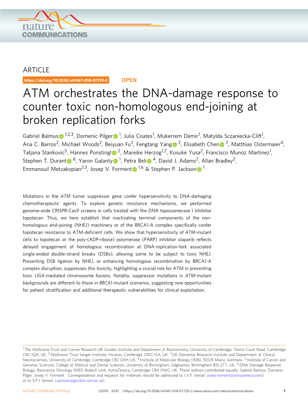 ATM Orchestrates the DNA-Damage Response to Counter Toxic Non-Homologous End-Joining at Broken Replication Forks