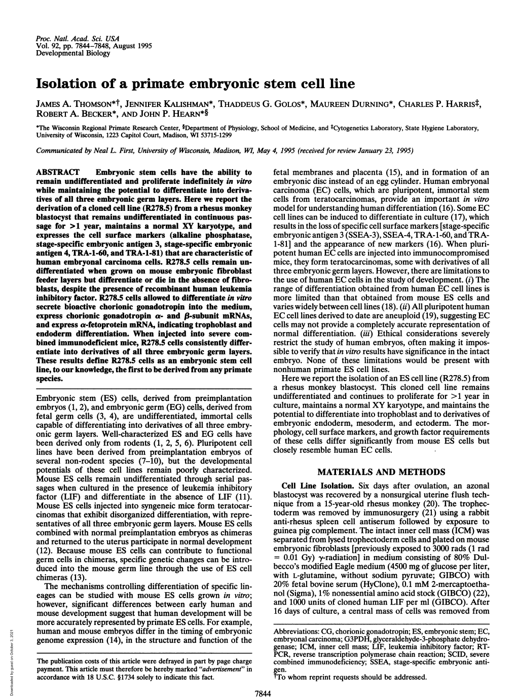 Isolation of a Primate Embryonic Stem Cell Line JAMES A