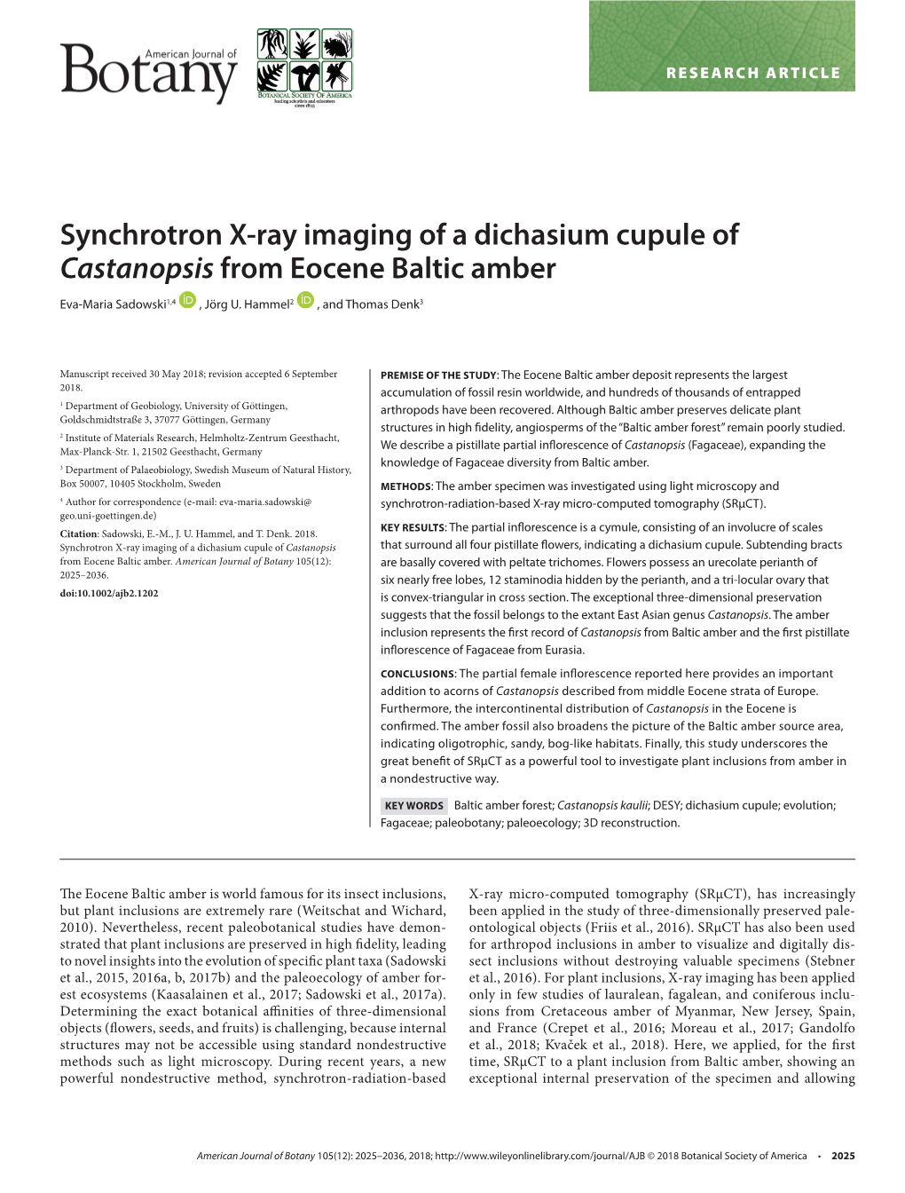 Ray Imaging of a Dichasium Cupule of Castanopsis from Eocene Baltic Amber