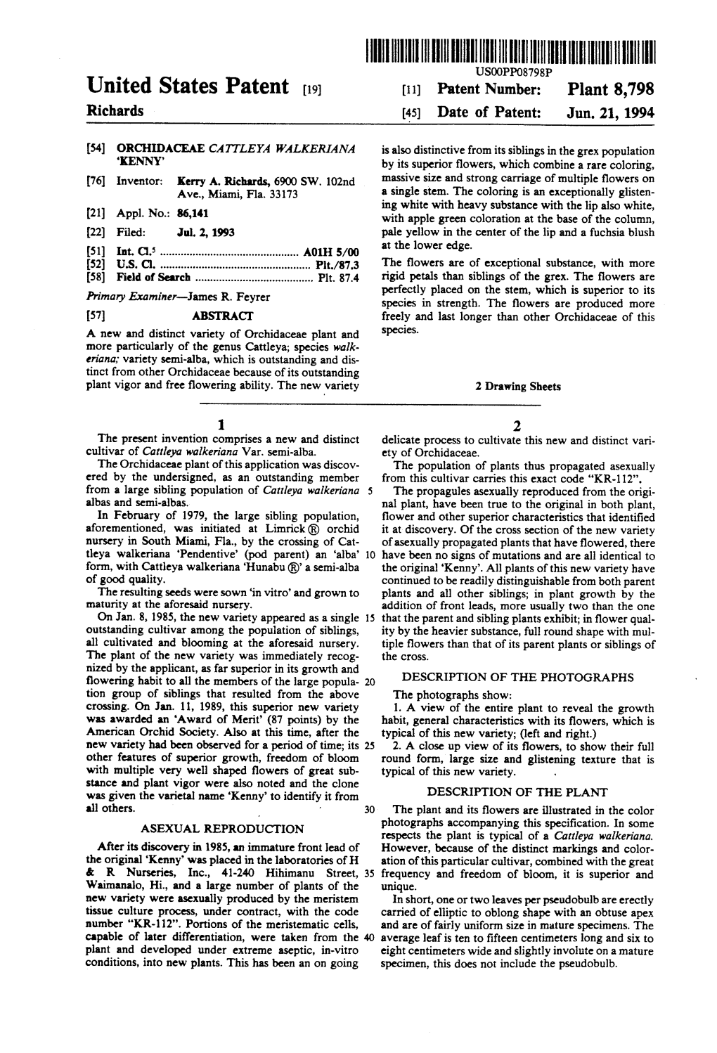 IIIHHHH|H||||| USOOPPO8798P United States Patent (19) (11) Patent Number: Plant 8,798 Richards (45) Date of Patent: Jun