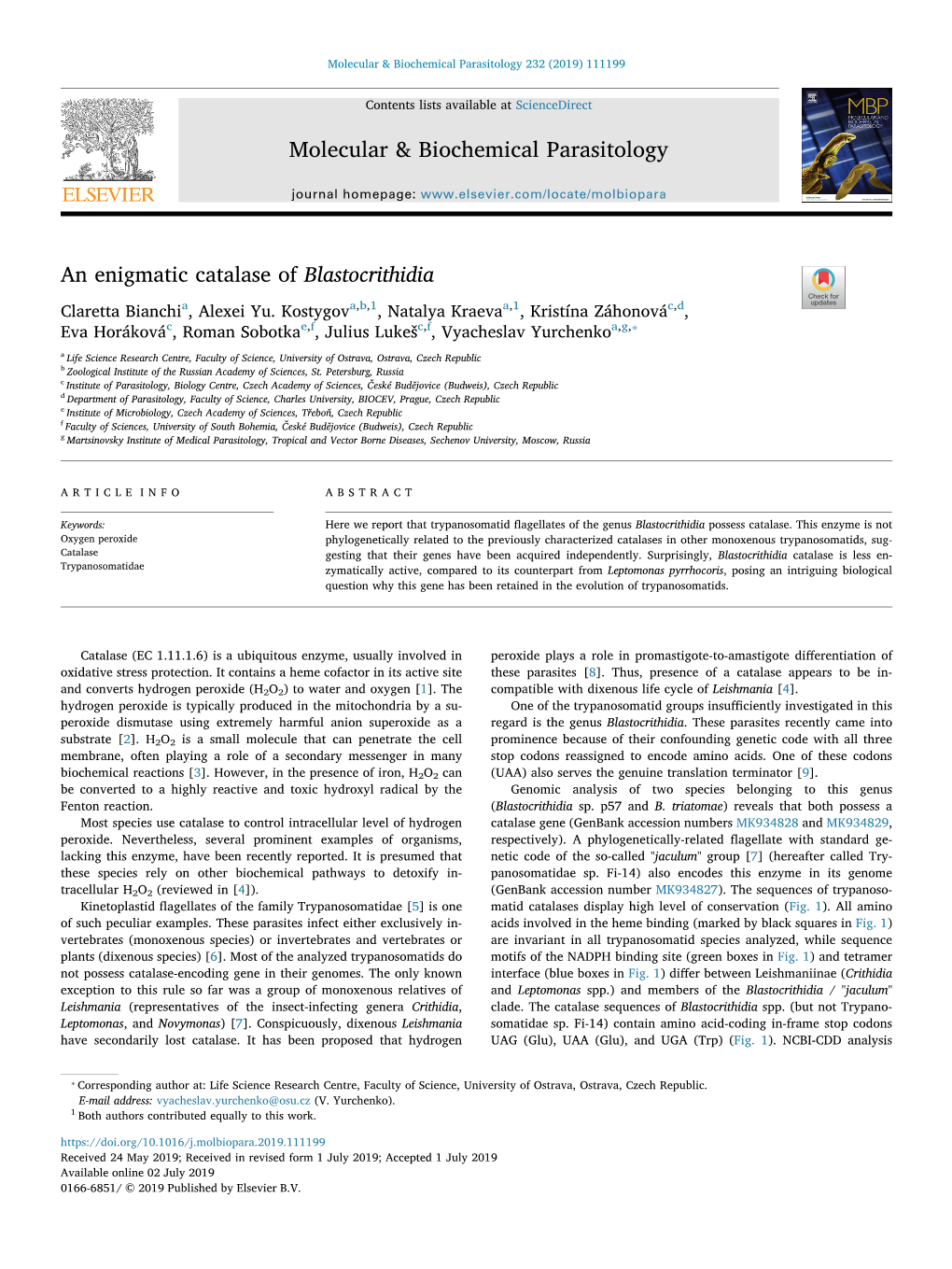 An Enigmatic Catalase of Blastocrithidia T Claretta Bianchia, Alexei Yu