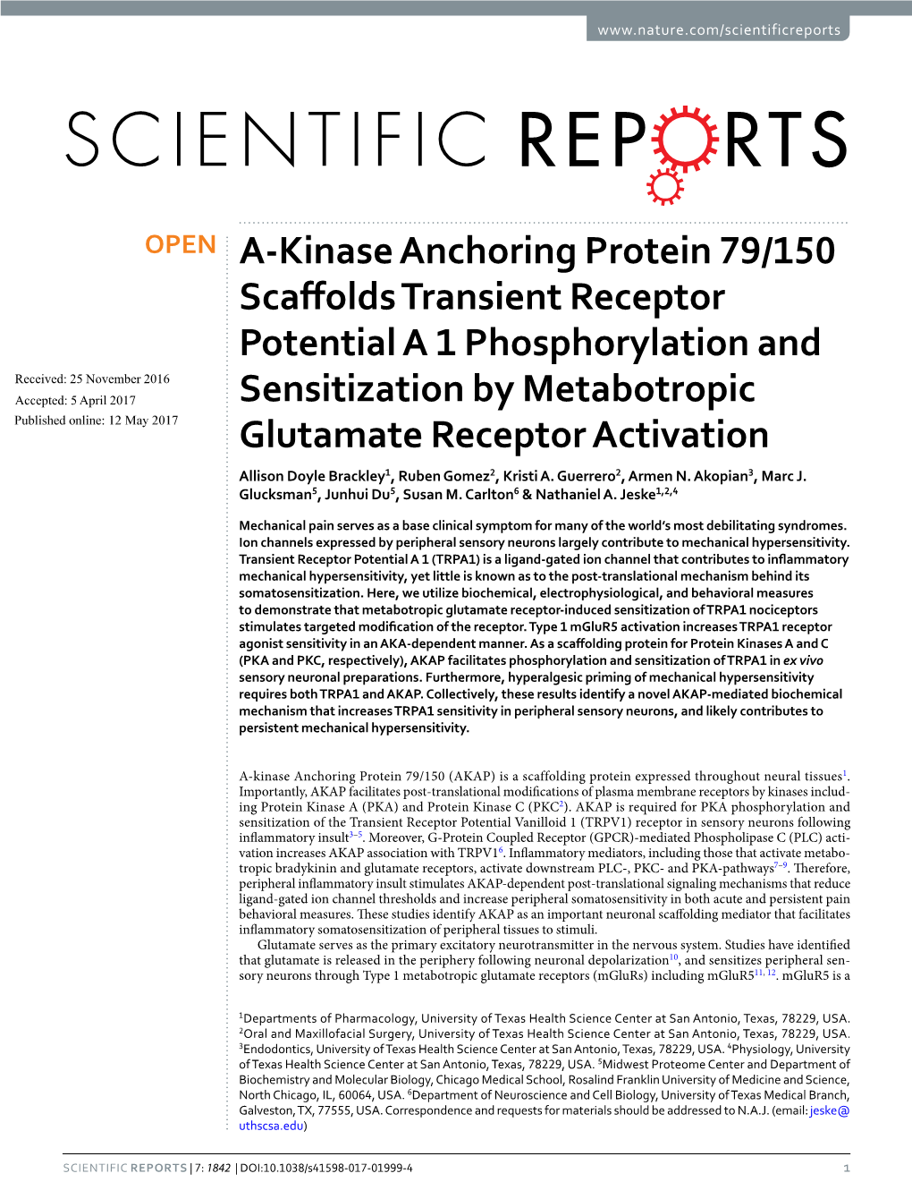 A-Kinase Anchoring Protein 79/150 Scaffolds Transient Receptor Potential a 1 Phosphorylation and Sensitization by Metabotropic G