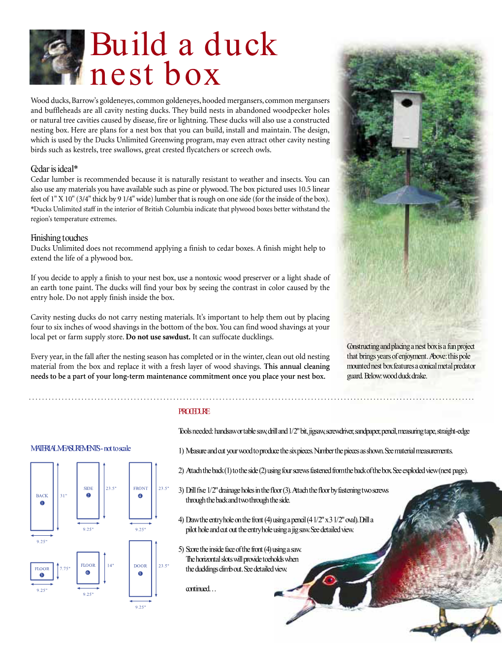 Build a Duck Nest Box Wood Ducks, Barrow’S Goldeneyes, Common Goldeneyes, Hooded Mergansers, Common Mergansers and Buffleheads Are All Cavity Nesting Ducks