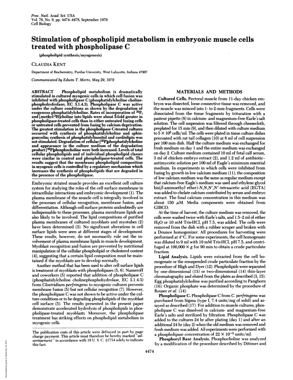 Stimulation of Phospholipid Metabolism in Embryonic Muscle