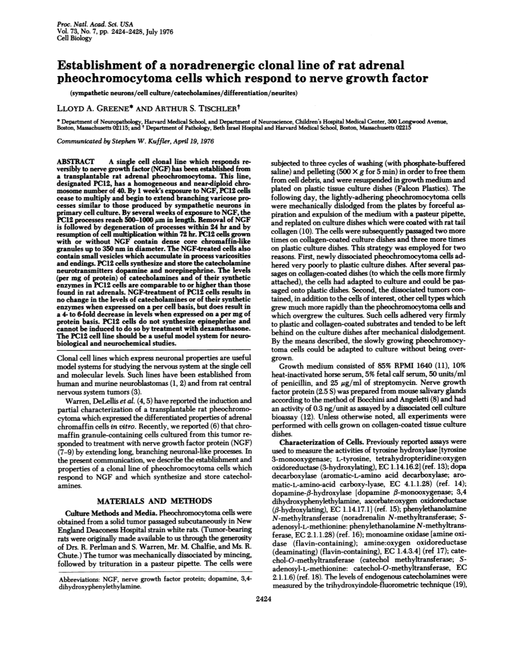 Establishment of a Noradrenergic Clonal Line of Rat Adrenal