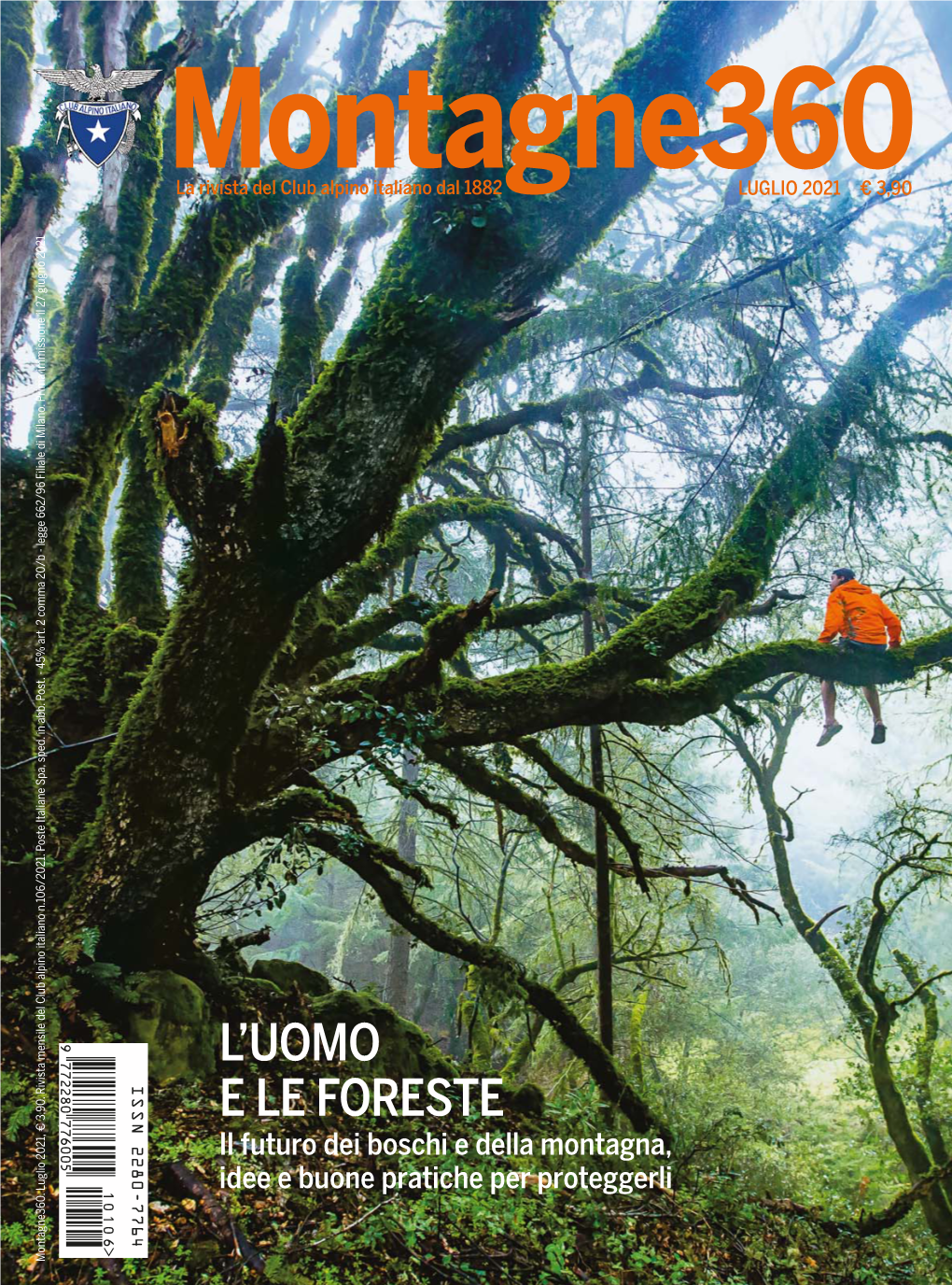 Lʼuomo E Le Foreste