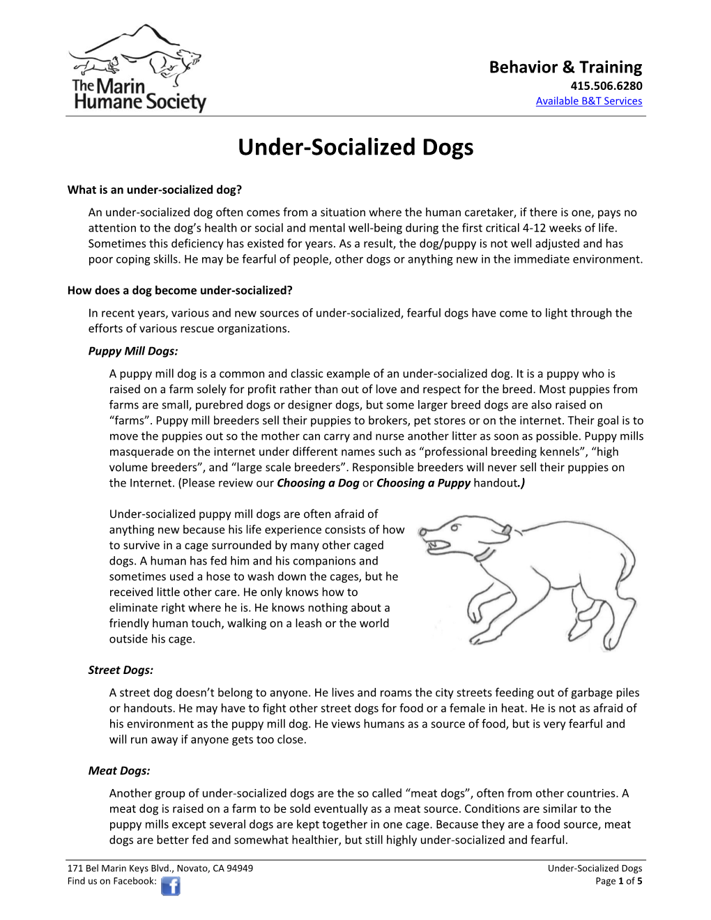 Under-Socialized-Dogs.Pdf