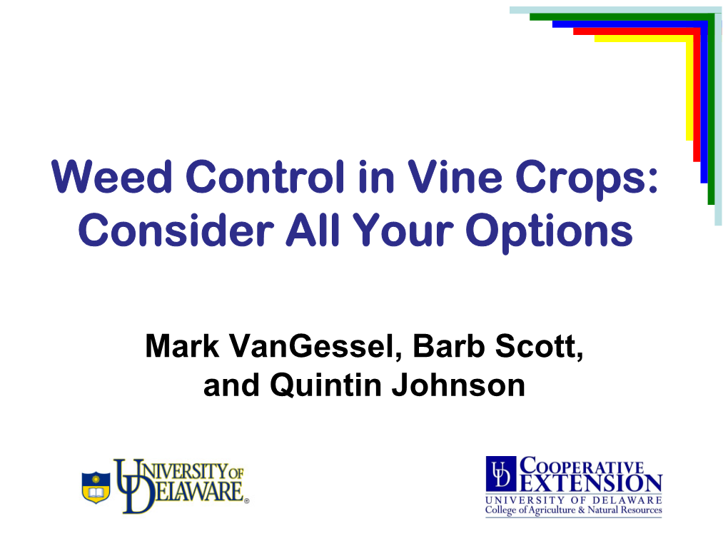 What's New in Weed Control for Processing Vegetables