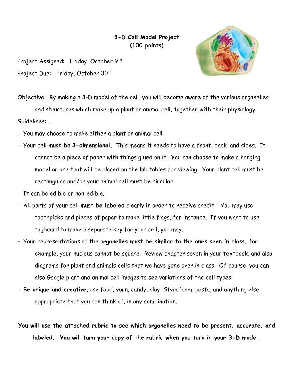 3-D Cell Model Project