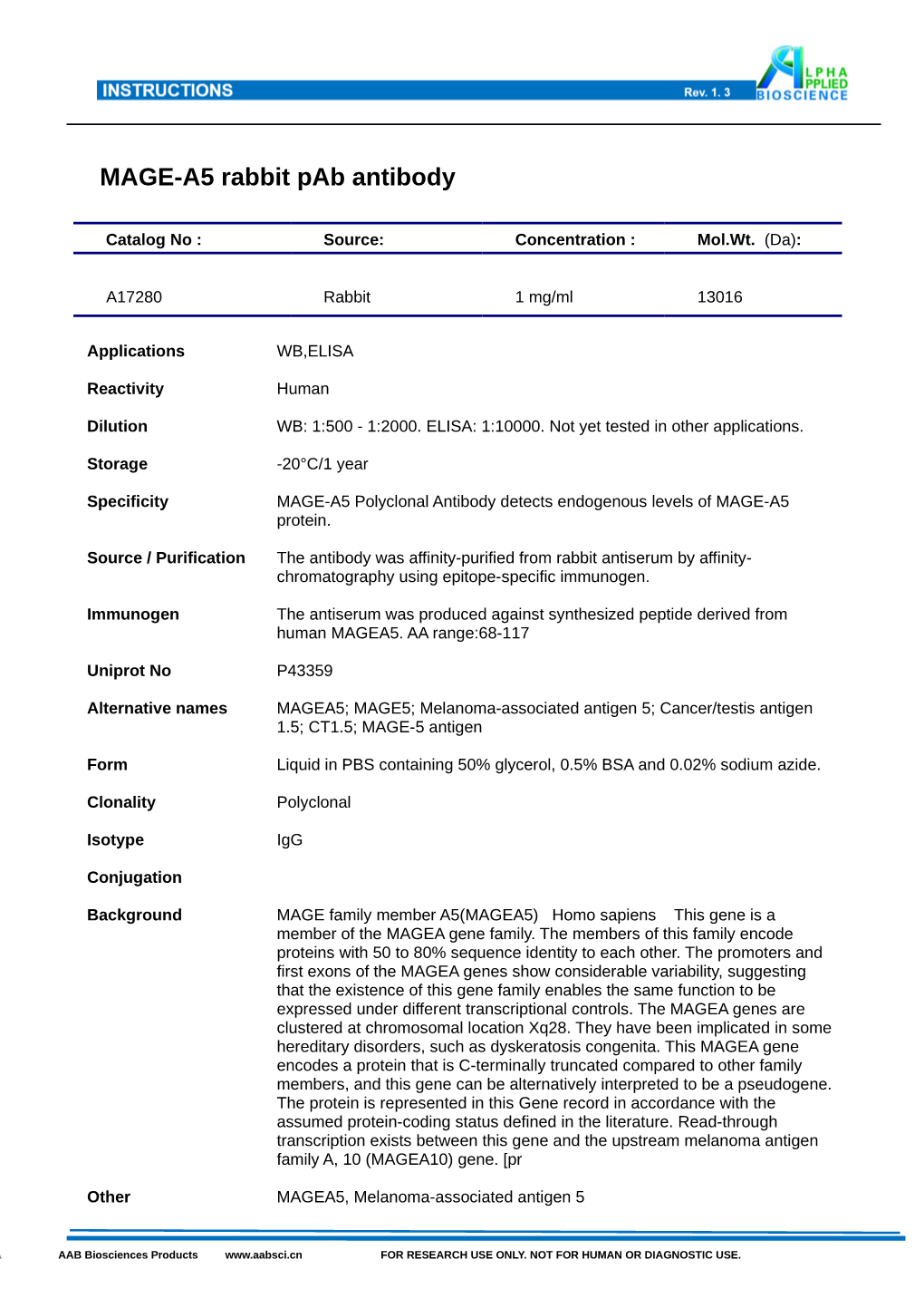 MAGE-A5 Rabbit Pab Antibody