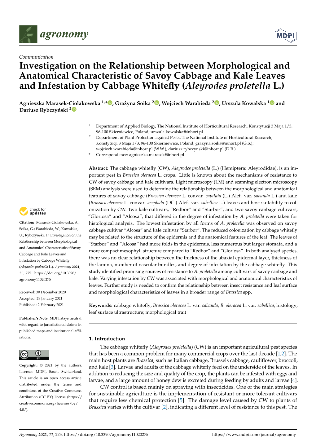 Investigation on the Relationship Between Morphological And