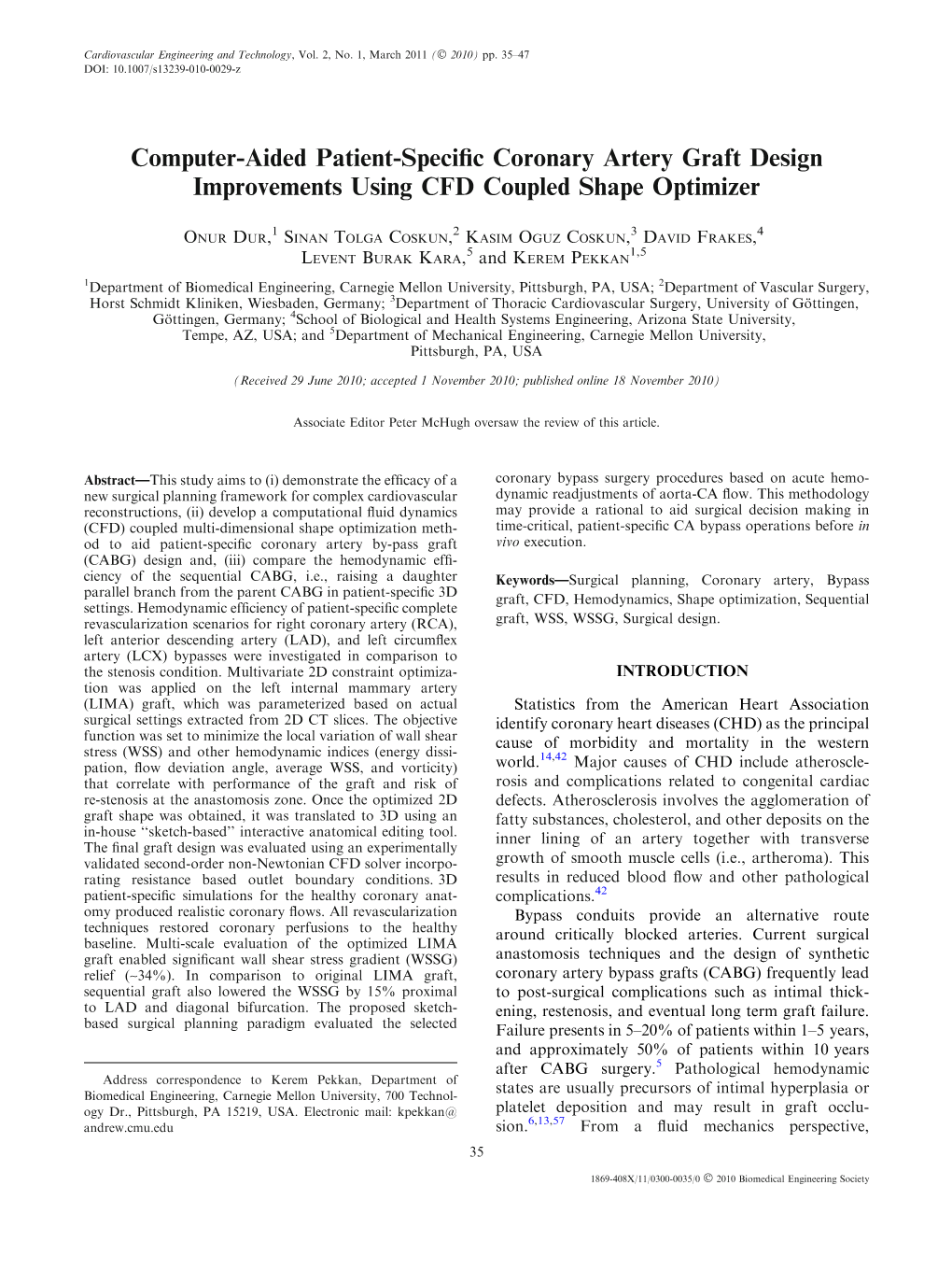 Computer-Aided Patient-Specific Coronary Artery Graft Design