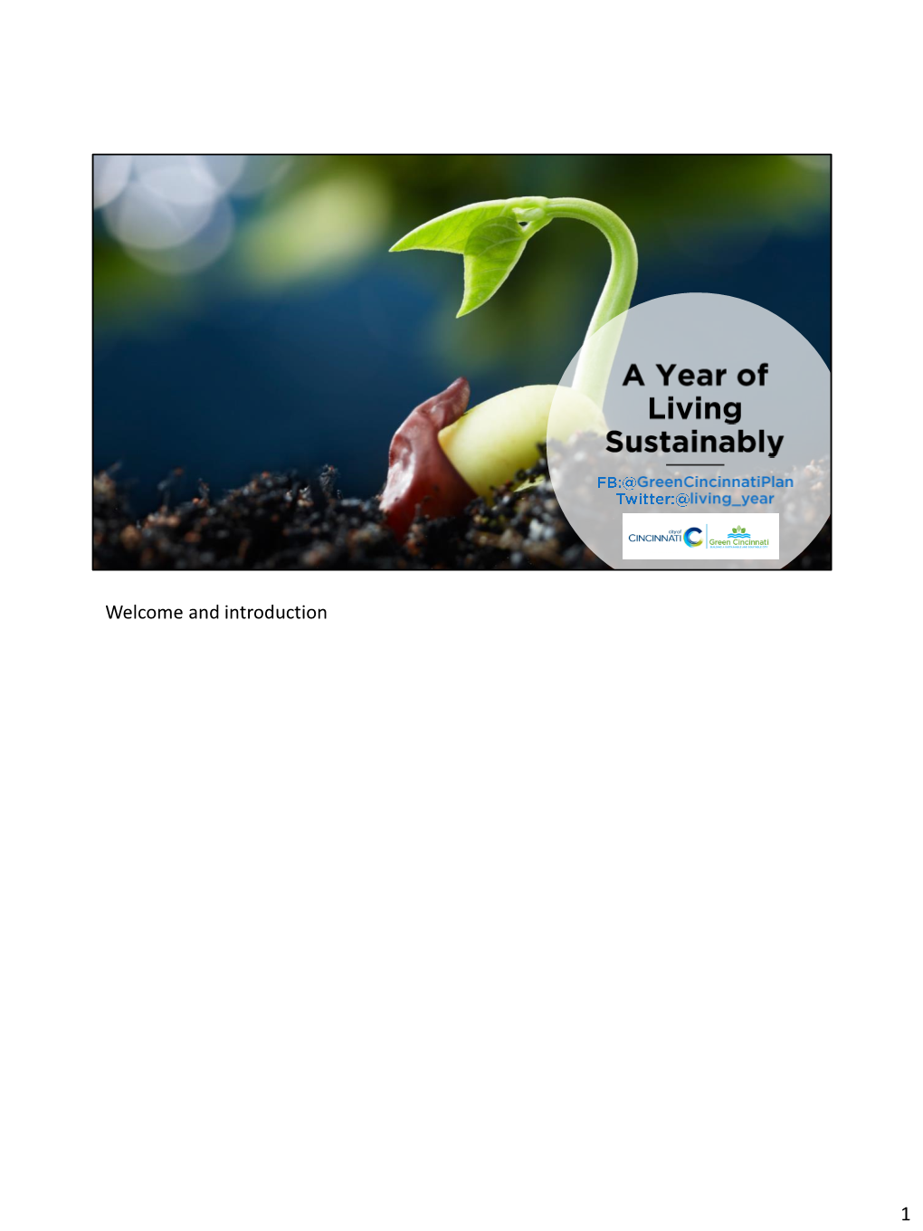 A Year of Living Sustainably
