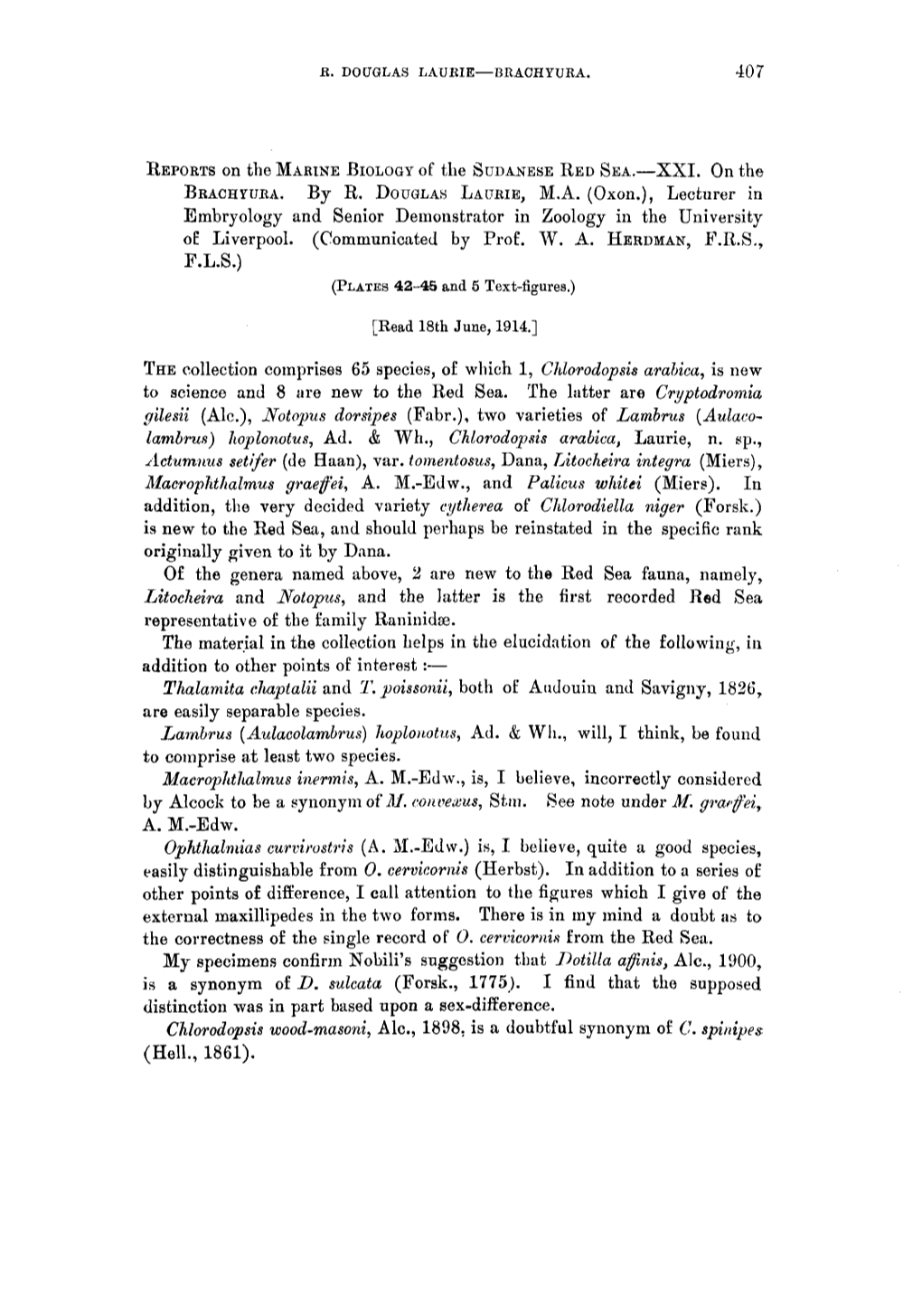 Descriptions of Some Apparently New Species of Annulosa, (Collected by Mr. Macgillivray During the Voyage of H.M.S. Rattlesnake)