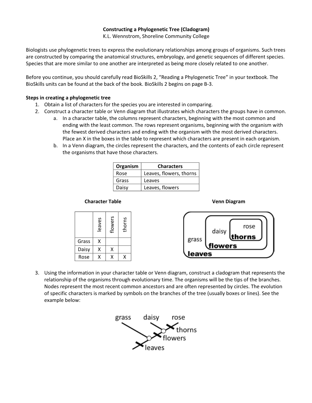 Constructing a Phylogenetic Tree (Cladogram) K.L