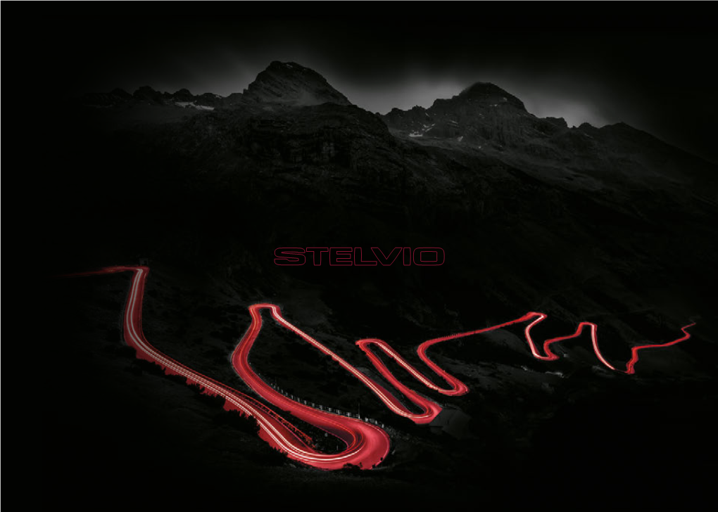 Stelvio Price List – Page 1 Some Make