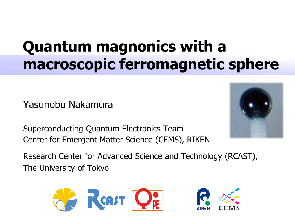 Quantum Magnonics with a Macroscopic Ferromagnetic Sphere