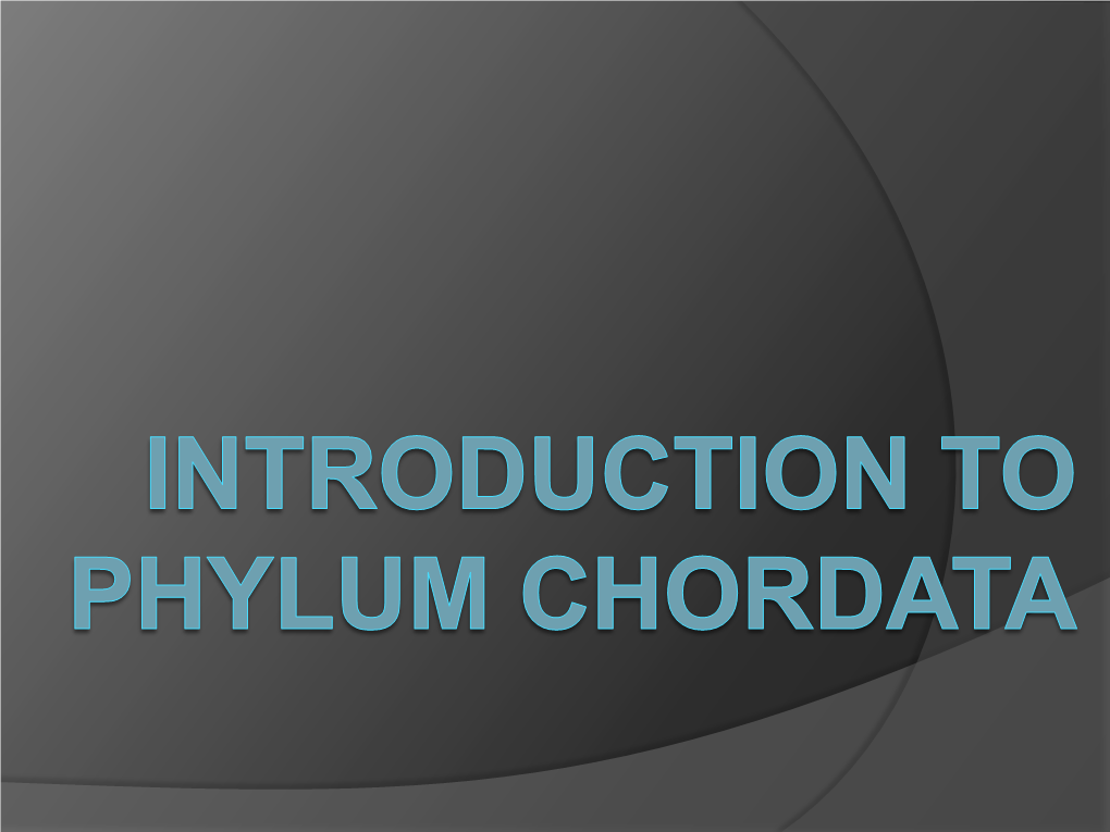 Introduction to Phylum Chordata