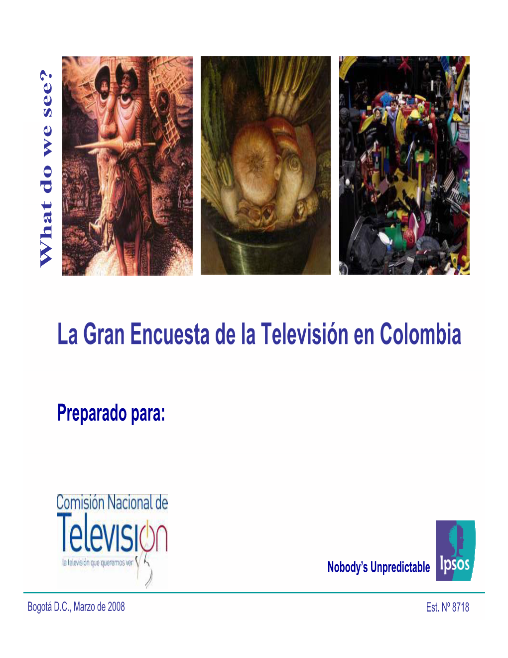 La Gran Encuesta De La Televisión En Colombia