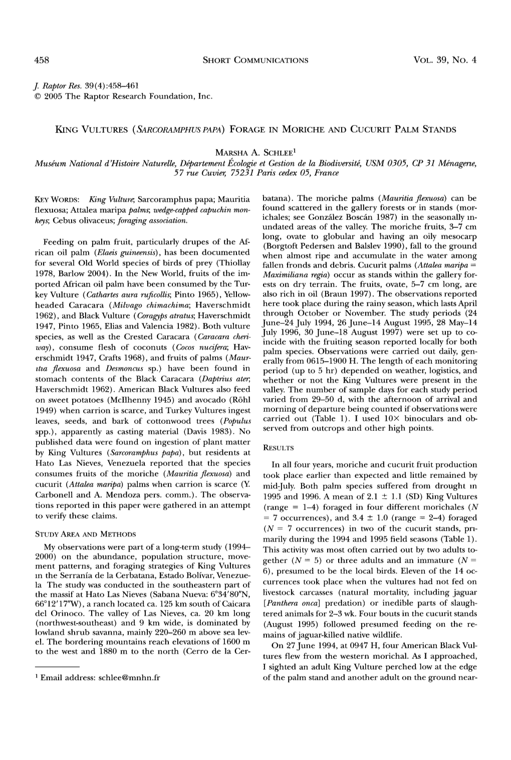 King Vultures &Lpar;<I>Sarcoramphus Papa</I>&Rpar; Forage in Moriche