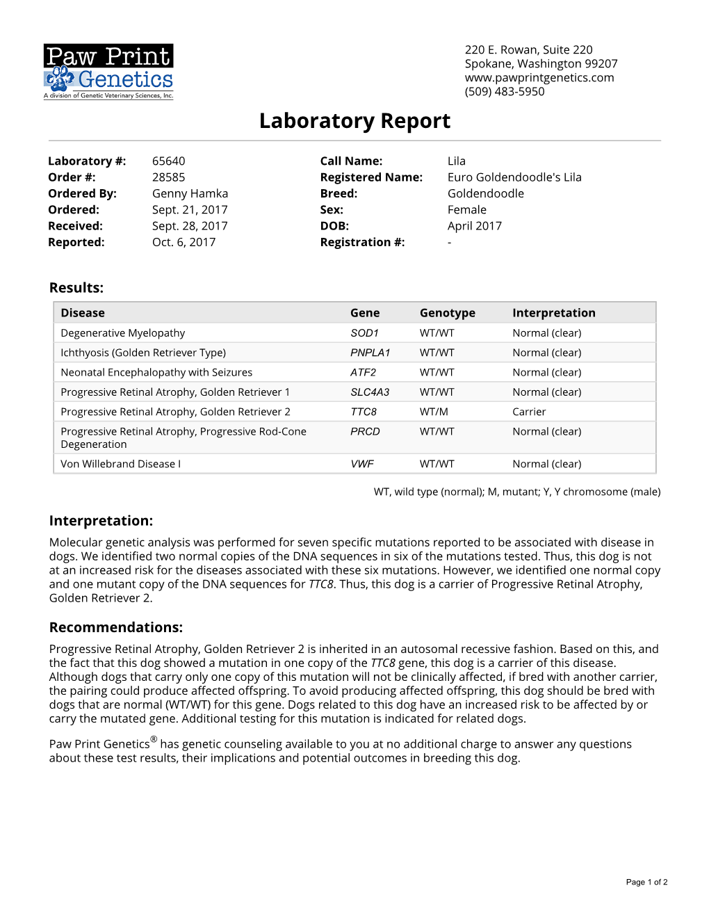 Laboratory Report