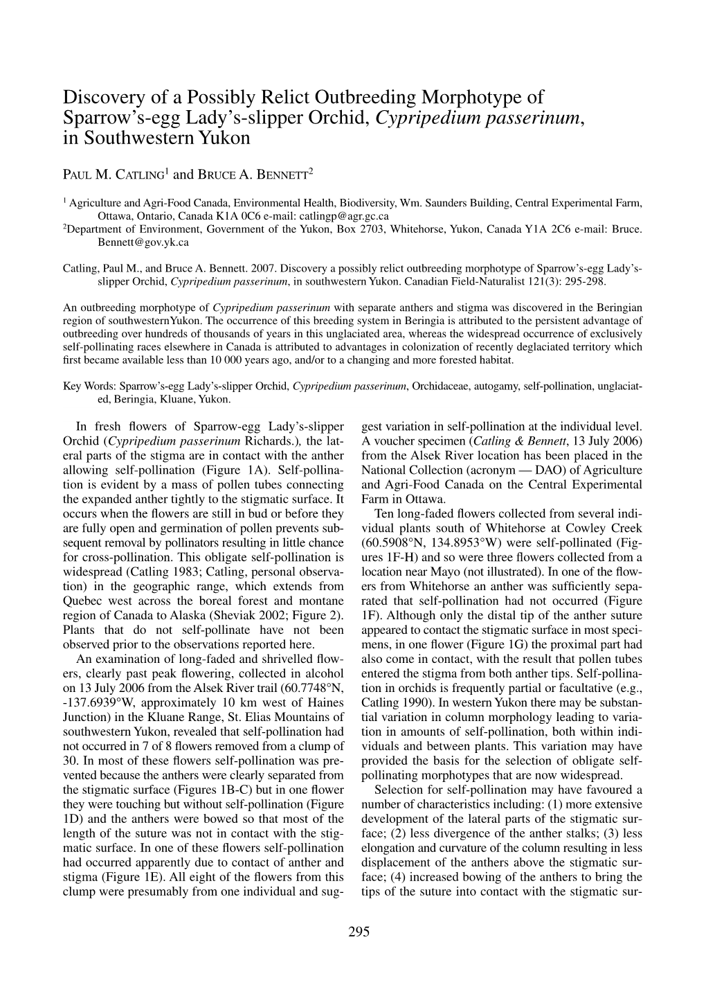 07 07006 Ladyslipper.Qxd:CFN 121(3) 12/2/08 3:50 PM Page 295