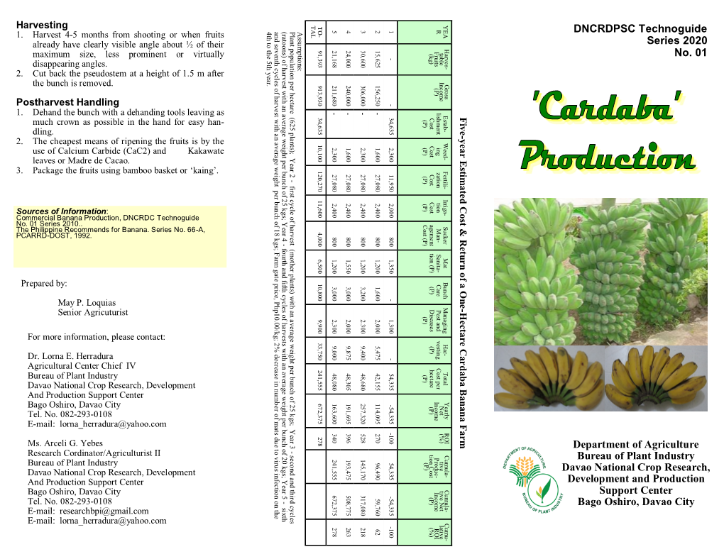 DNCRDPSC Technoguide Series 2020 No