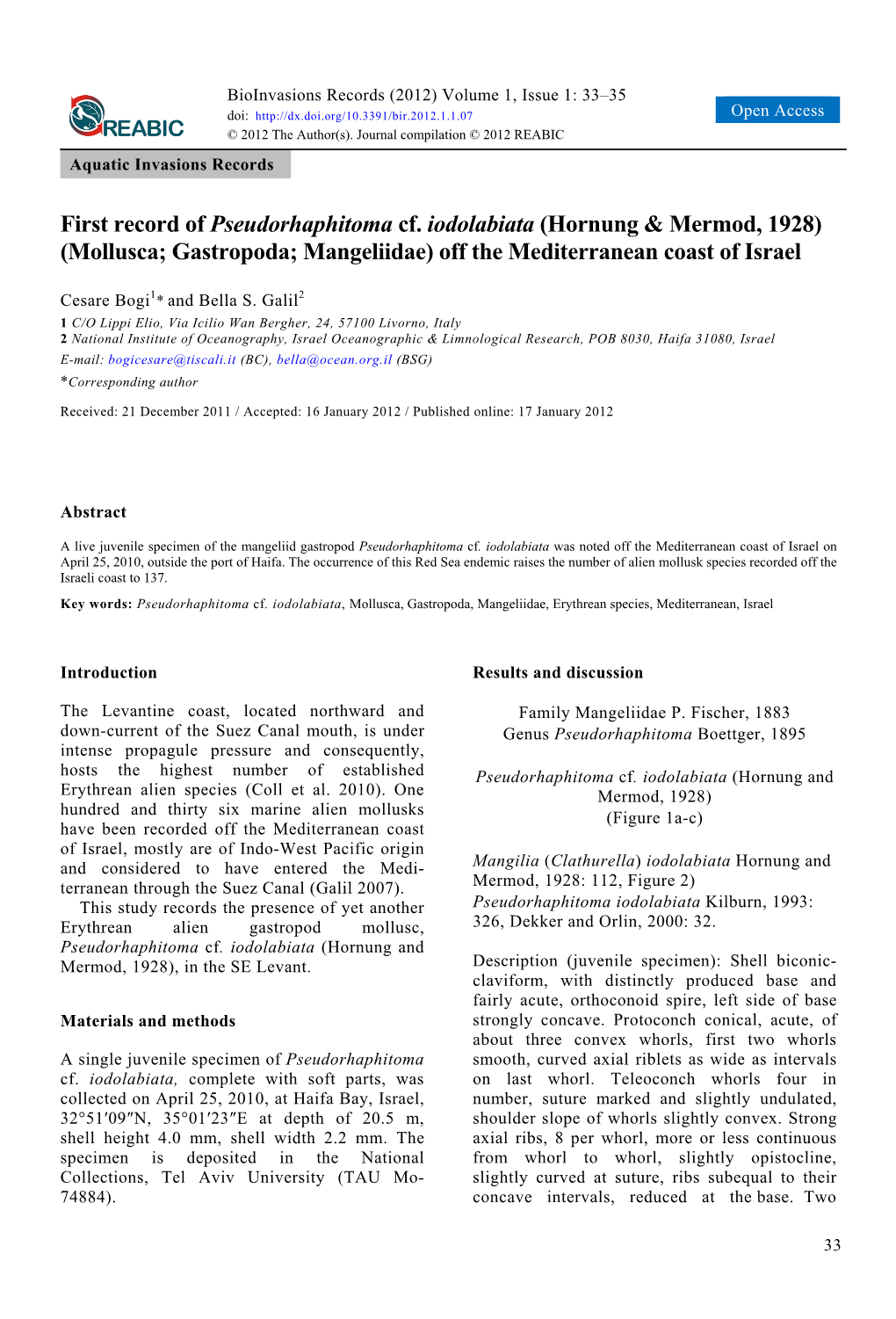 Mollusca; Gastropoda; Mangeliidae) Off the Mediterranean Coast of Israel