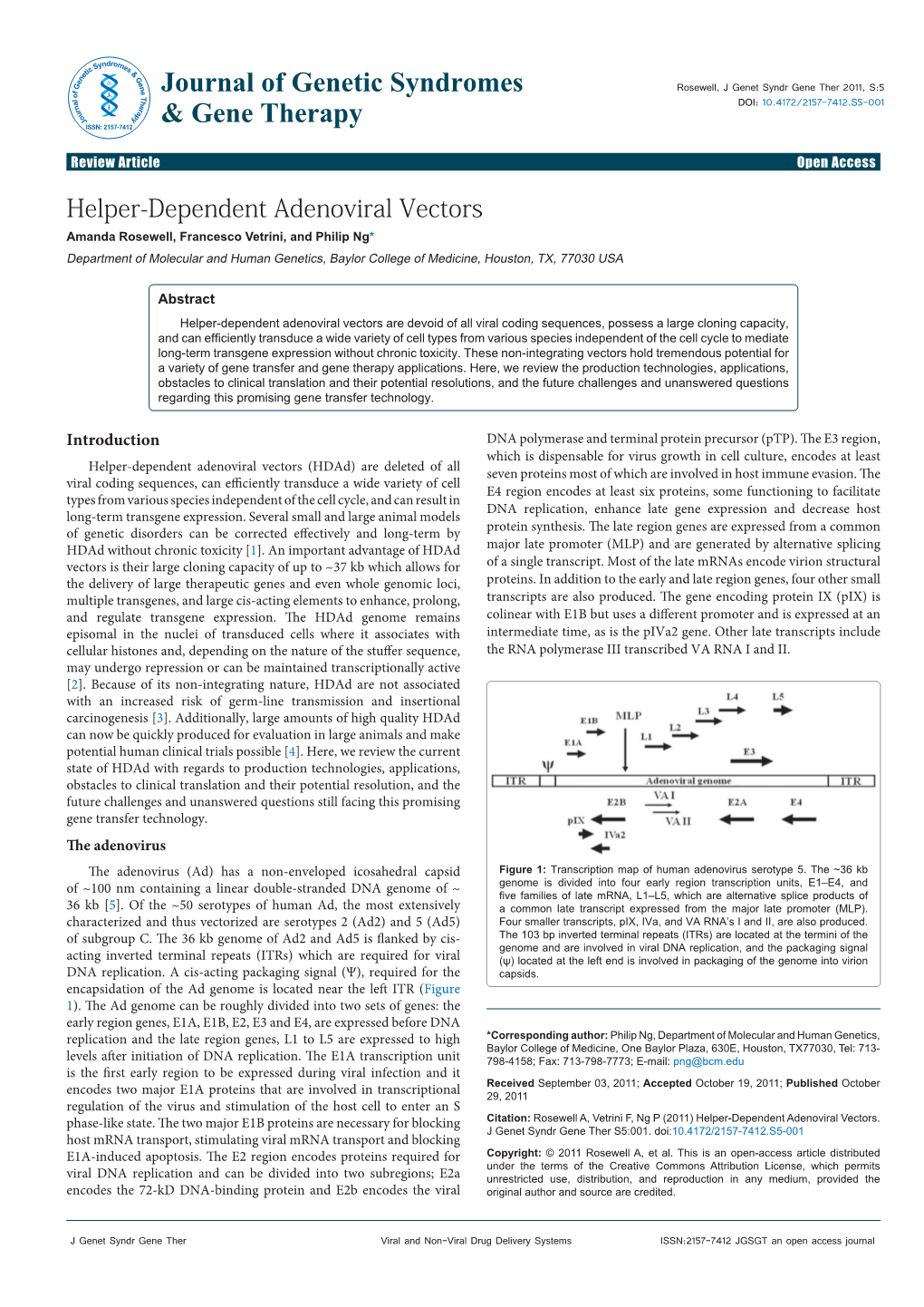 Helper-Dependent Adenoviral Vectors