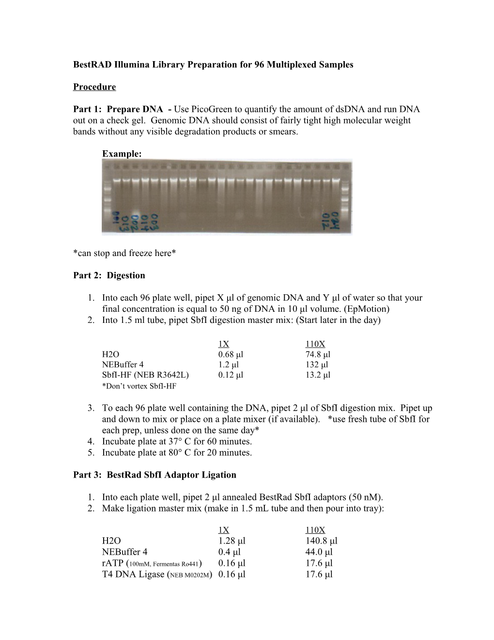 Bestrad Illumina Library Preparation for 96 Multiplexed Samples