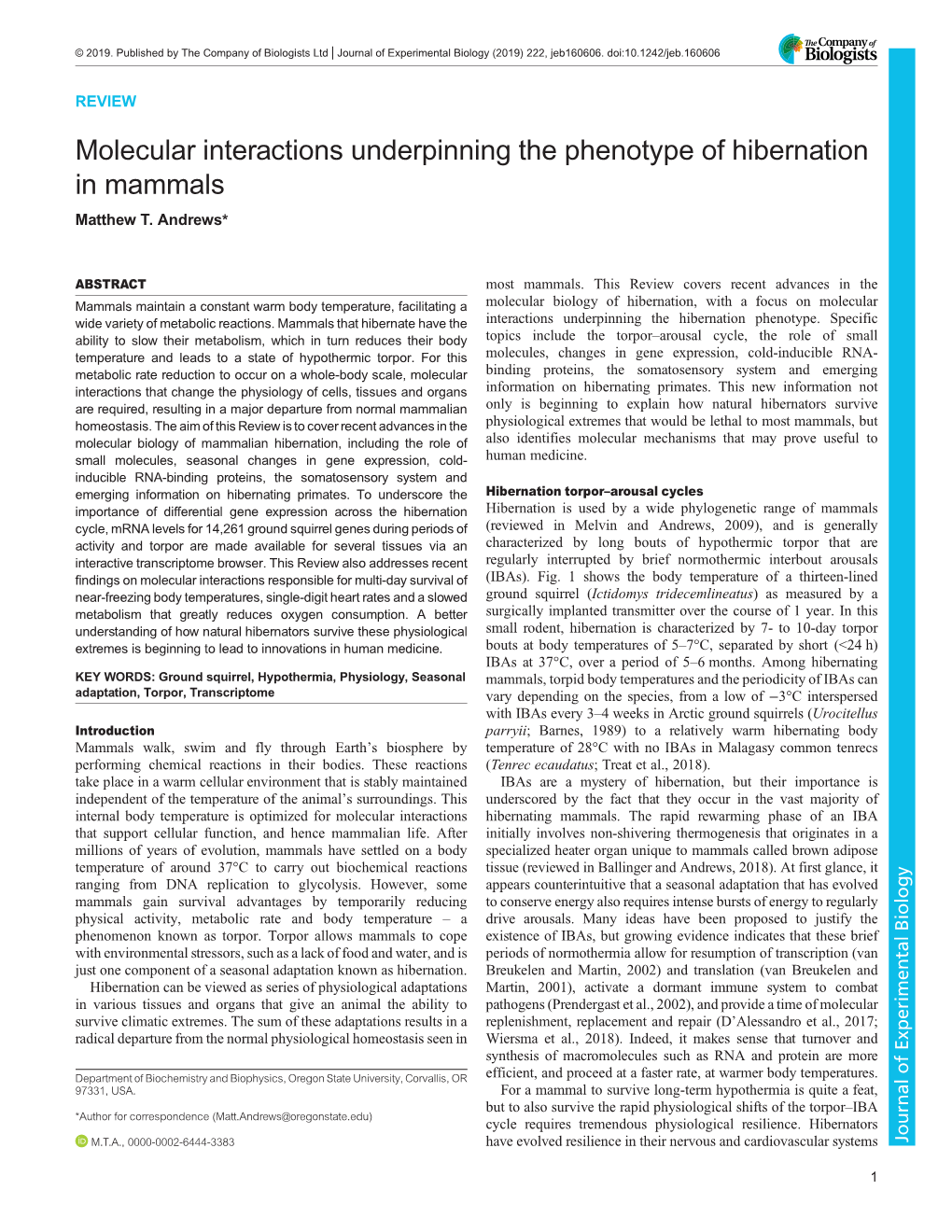 Molecular Interactions Underpinning the Phenotype of Hibernation in Mammals Matthew T