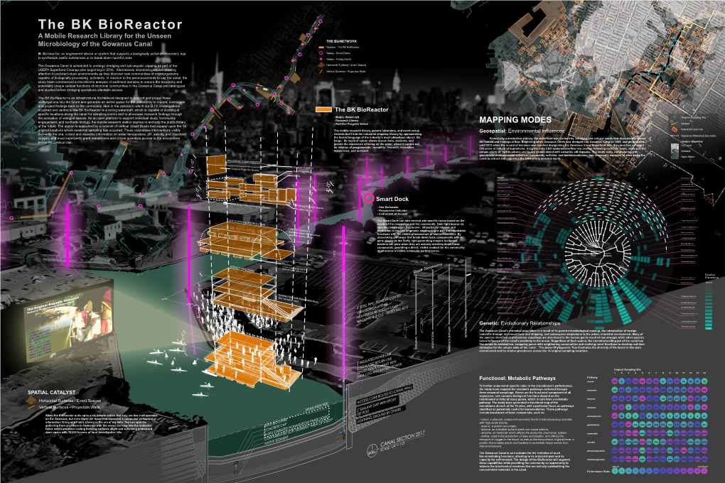 The BK Bioreactor a Mobile Research Library for the Unseen the Bionetwork