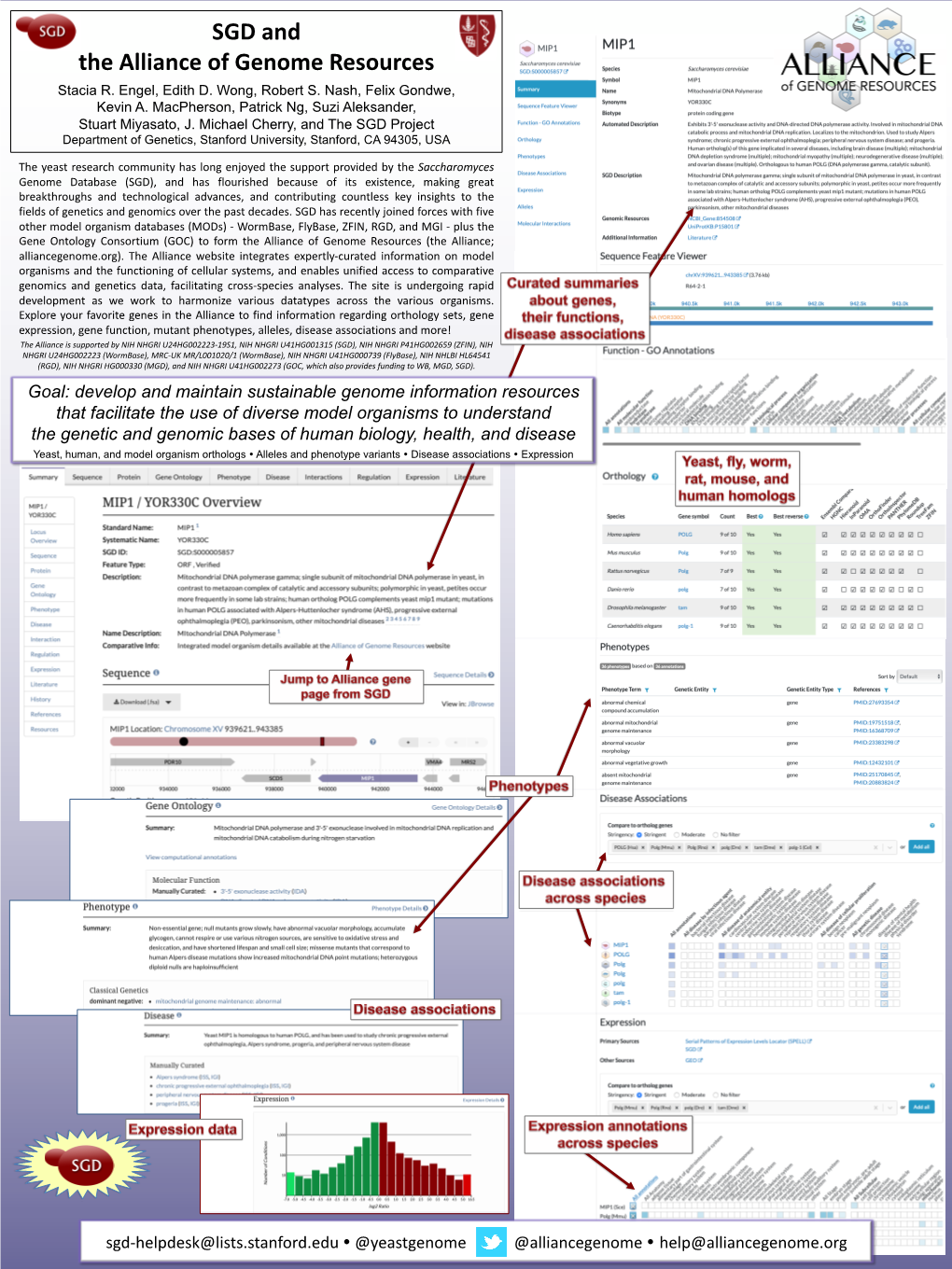 SGD and the Alliance of Genome Resources Stacia R