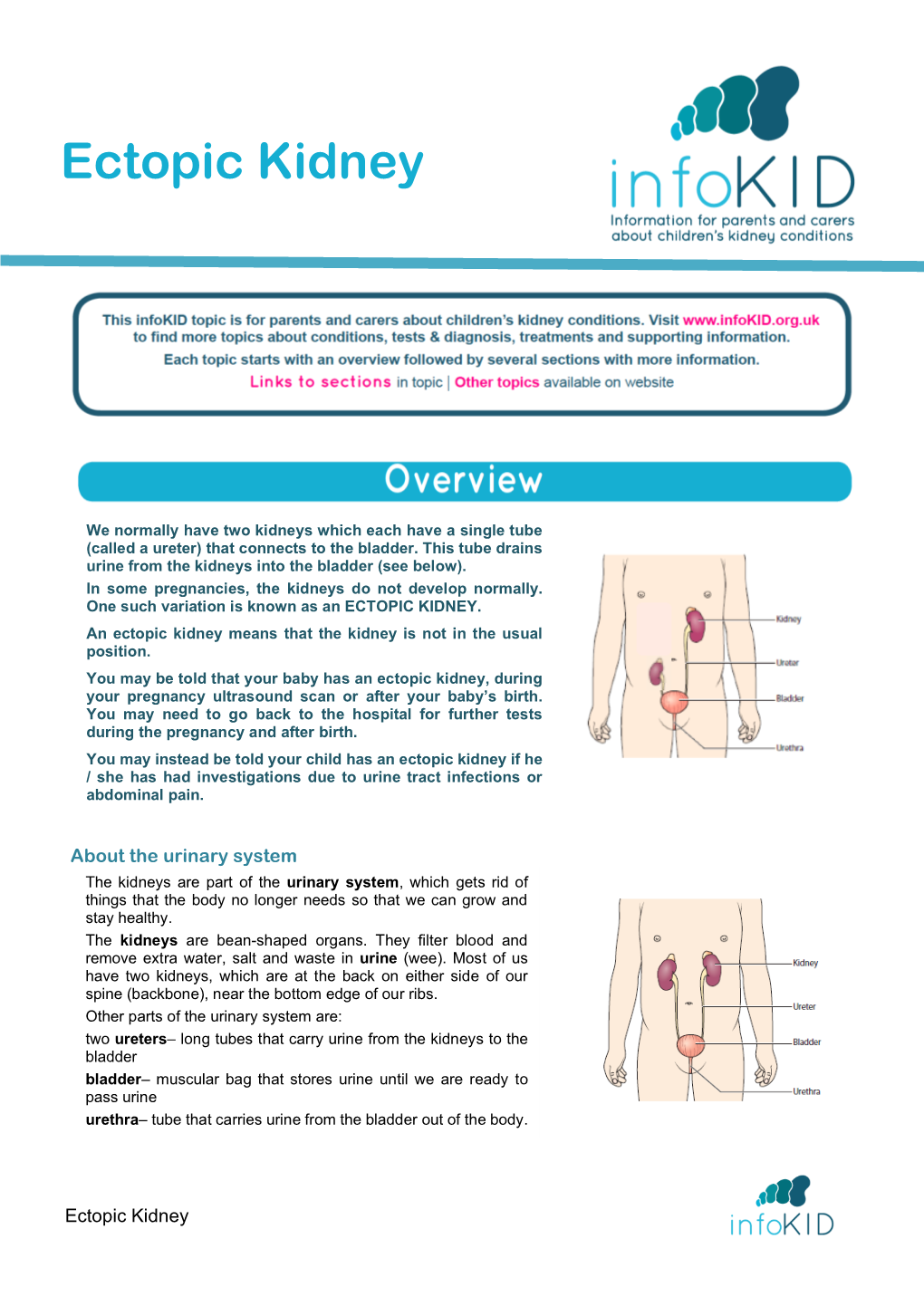 Ectopic Kidney