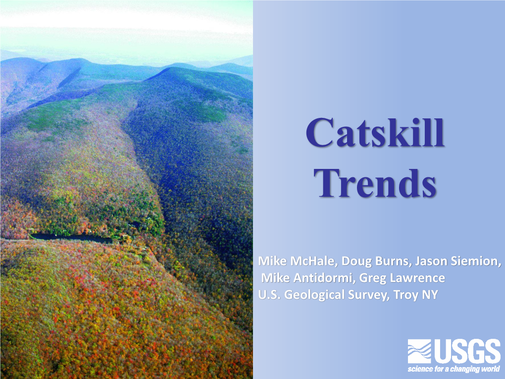 Catskill Trends