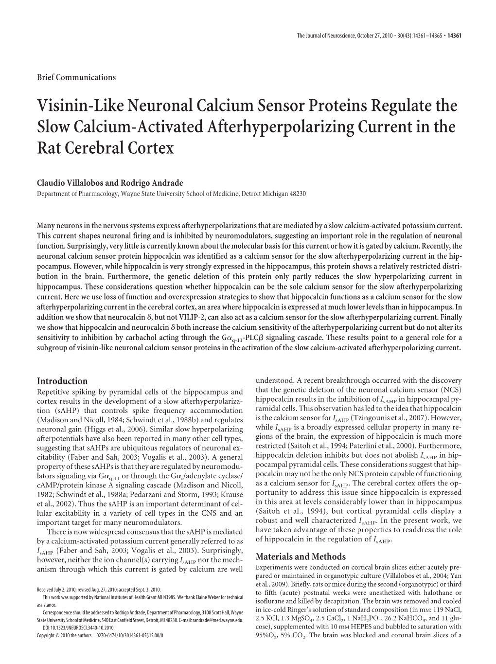 Visinin-Like Neuronal Calcium Sensor Proteins Regulate the Slow Calcium-Activated Afterhyperpolarizing Current in the Rat Cerebral Cortex