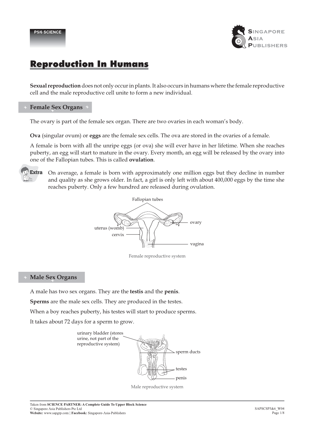 Reproduction in Humans