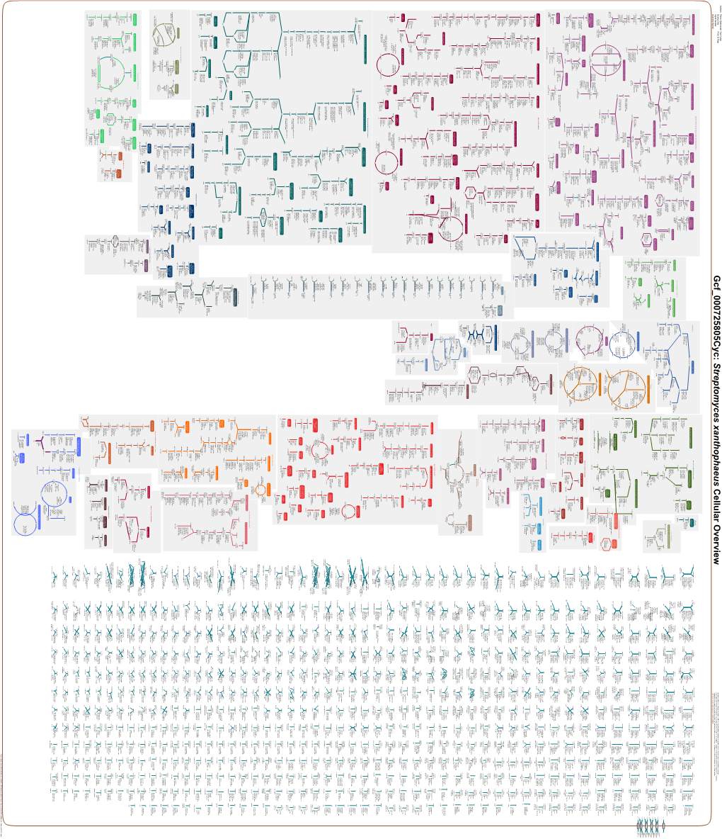 Generated by SRI International Pathway Tools Version 25.0, Authors S